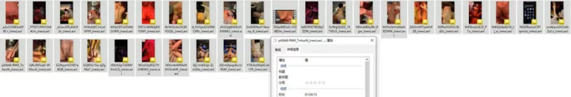 91大神 性学先生新作 后入极品巨臀女神 爆操内射 饱满鲍鱼屄【17P+31V+4.43G】