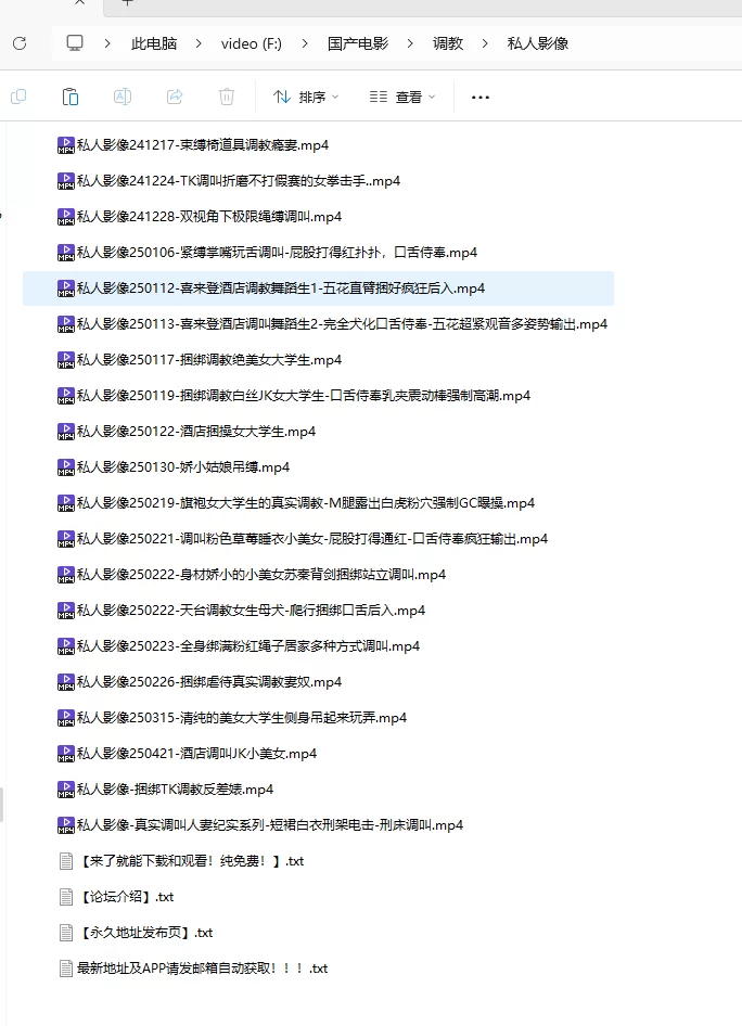 SM 自购 私人影像 无码合集【视频：20v+14.4G】