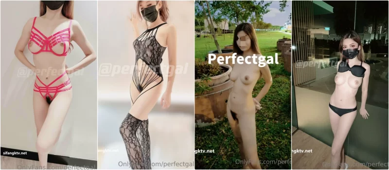 美女御姐 5月新档极品身材女神『PerfectGal』多人淫趴 群P抽插 想怎么【19v+186p+2.22g】