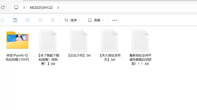 漏点 [3点全露]秀人网林昔予yorki内购助力图 红色后妈裙 无毛穴【105P+451M】