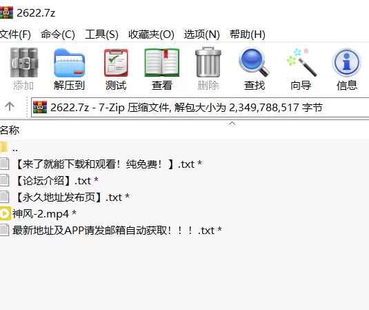 高颜值 [高清修复]大城舞衣子神風無碼第二彈part2【1v+2.2G】