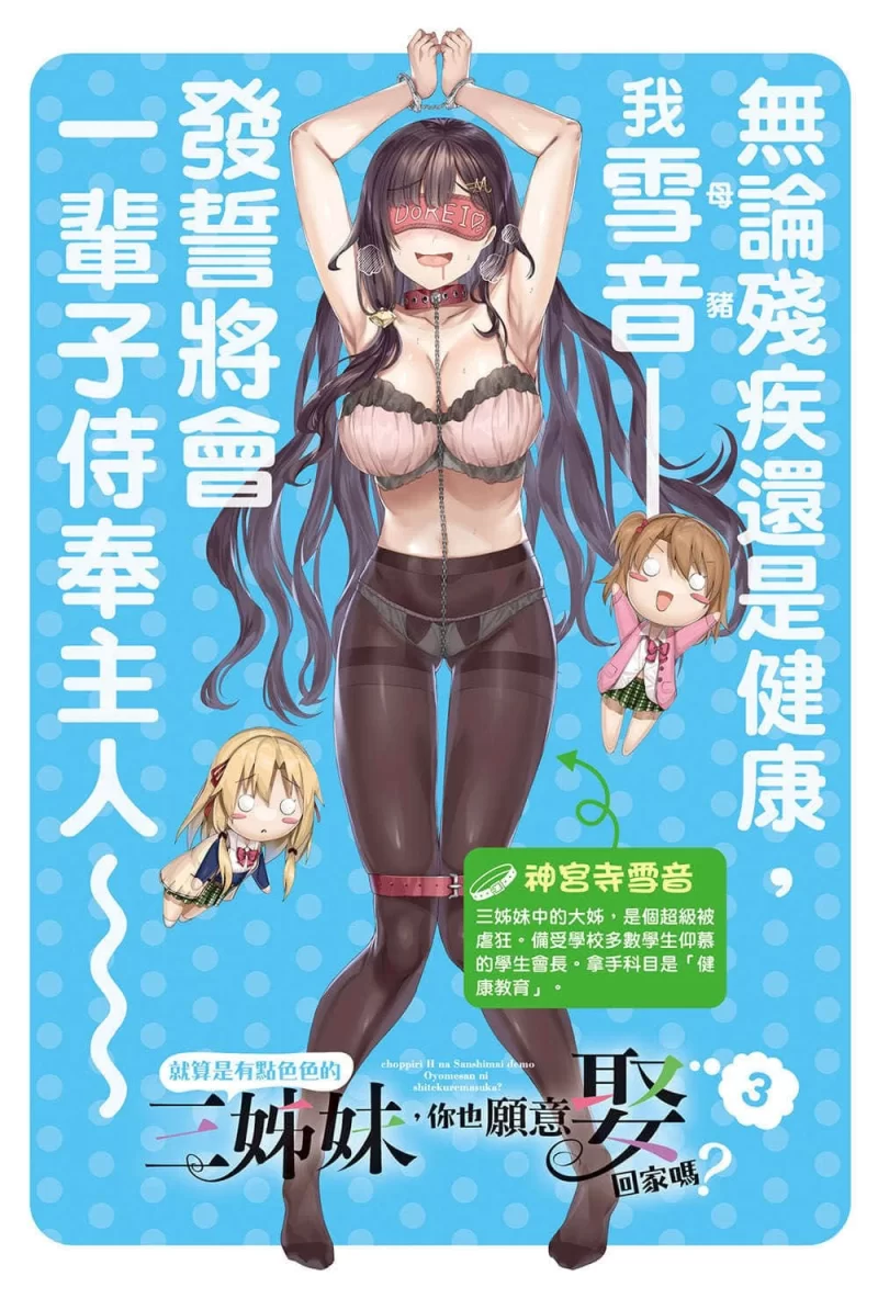其他 就算是有点色色的三姊妹，你也愿意娶回家吗？轻小说【+30M】