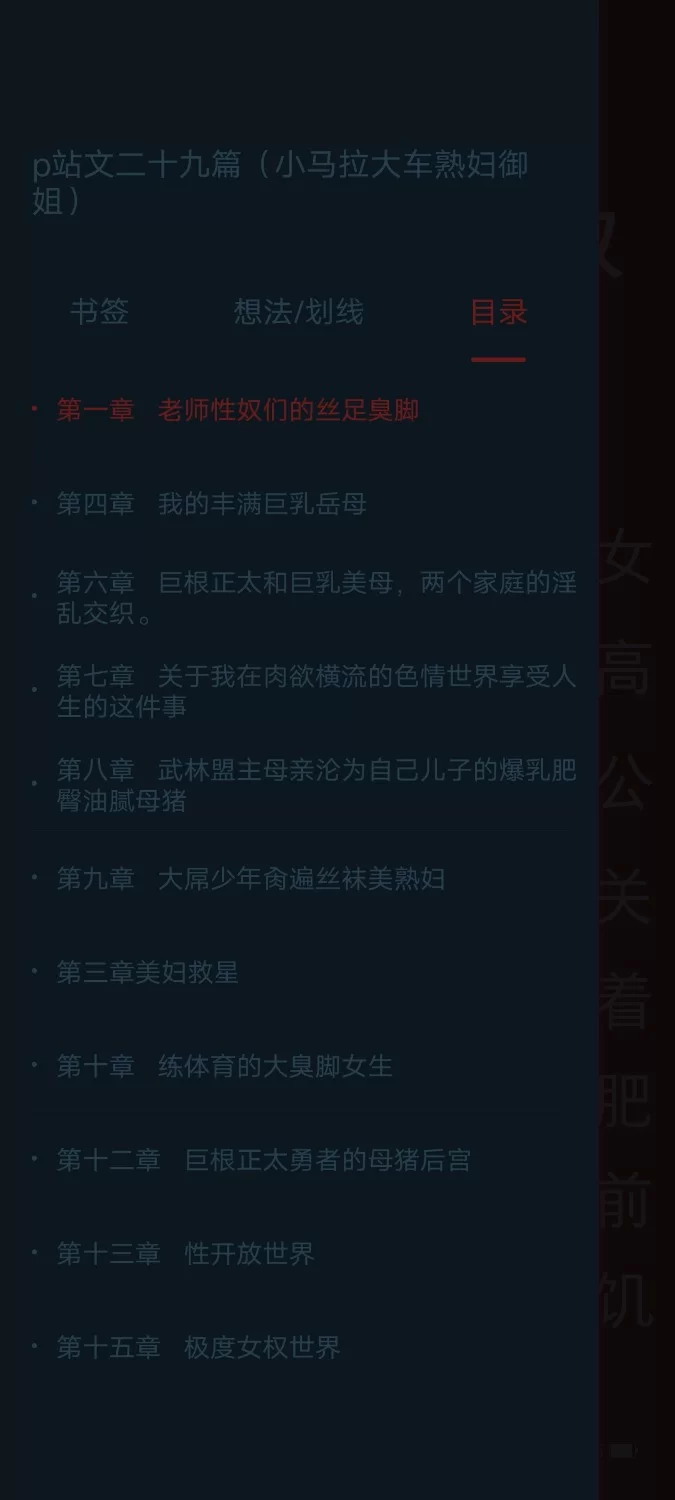 合集 p站文二十九篇（小马拉大车熟妇御姐）【+3M】