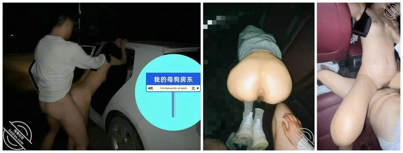 熟女少妇 路边车震中途拉出车外站马路上操她骚穴全部射满【435M+1V】