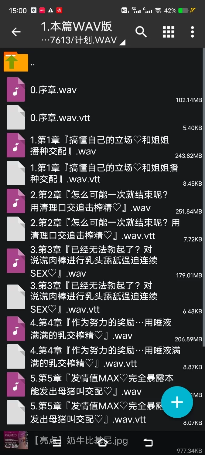 ASMR [简体中文版][贞操观念逆转]被强制选为造子政策种马的你【5V+900M】
