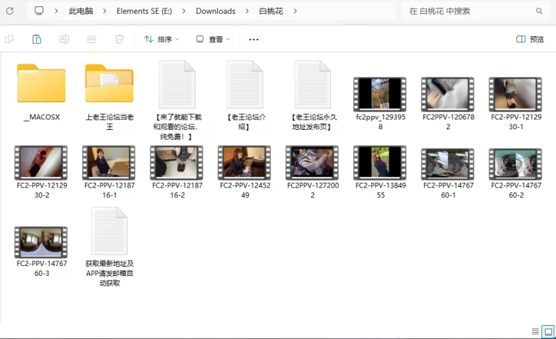 高颜值 白桃花（白桃はな）FC2无码作品合集【12V+13.26G】