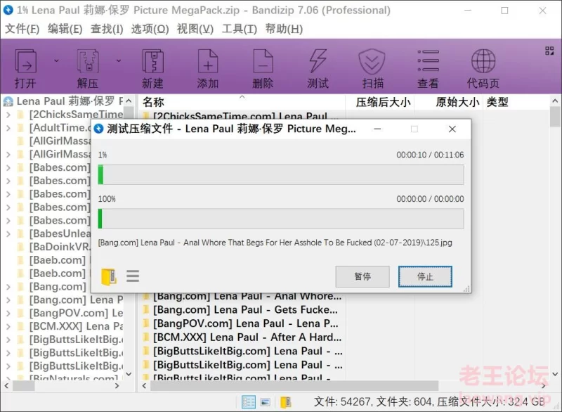 漏点 Lena Paul 莉娜·保罗 写真系列【未知数+33GB】