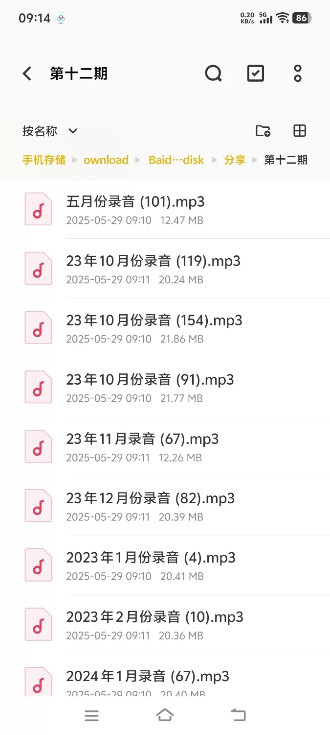 性爱录音 （真实录音）第十二期酒店啪啪录音合集【25+584mb】