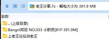 福利姬 Bangni邦尼 NO.033 小职员【81P+391.9M】