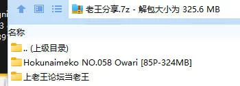 福利姬 Hokunaimeko北乃芽子 NO.058 Owari 美胸【85P+324MB】