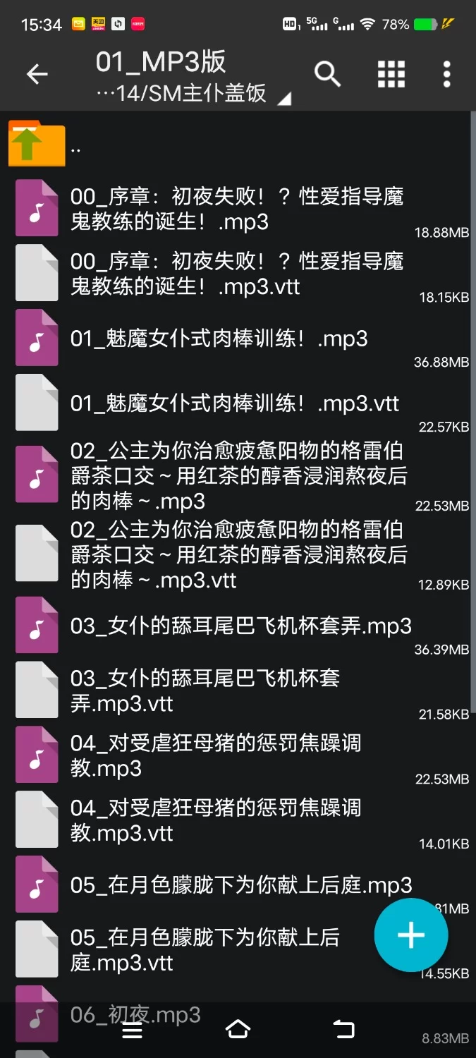 性爱录音 [简体中文版]与受虐狂母猪公主&抖S魅魔女仆的贪婪后宫初夜H～幸福蜜爱性爱生活【9V+750M】
