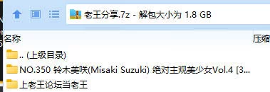 漏点 NO.350 铃木美咲(Misaki Suzuki) 绝对主观美少女Vol.4【34P+1V+1.77G】