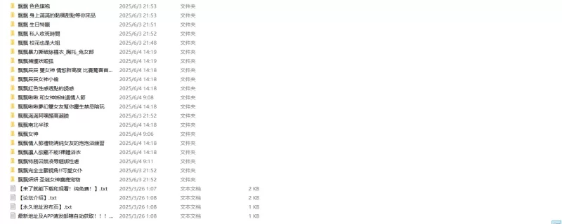 国产模特 JVID 飘飘哥 46套高清超大合集 [16G]【46套+16.1G】
