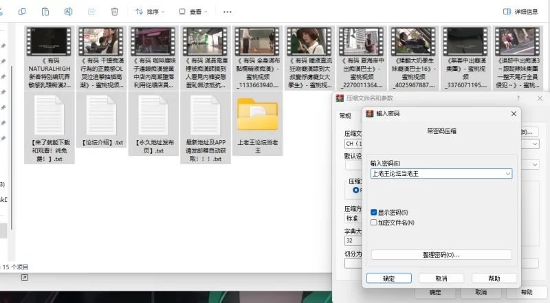 中文字幕 AP NHDTB痴汉系列第二弹【1+10.2G】