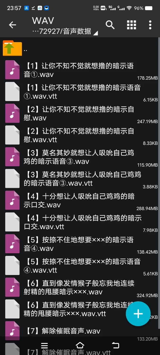 ASMR [简体中文版]变得色色的心理暗示～听完后再撸鸡鸡的话射精快感翻倍【8V+1.2G】