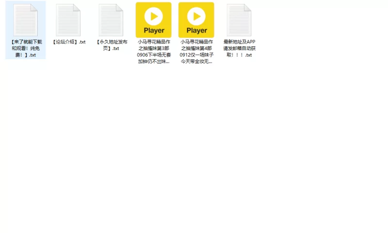 自拍 小马寻花之抽搐妹合集（2部）听译字幕4K增强版 下【2v+9.6G】