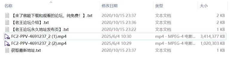 其他 fc4691237ゴージャスな美裸體の人気女子アナ【2V+4.23G】