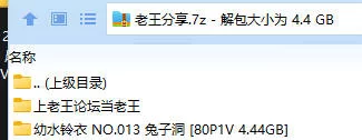 福利姬 幼水铃衣 NO.013 初音兔子洞【80P1V+4.44GB】