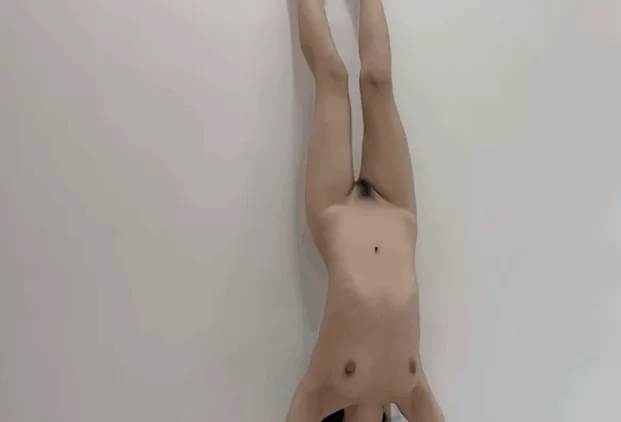 自拍 全裸裸舞[妙妙] 一字马 又是妖精身材 全裸插B身材给力【10V+1.26G】