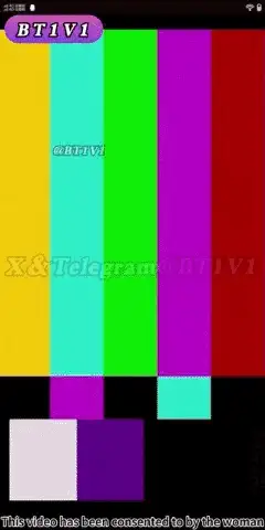 美女御姐 『BT1v1字幕版』寸止5部合集，看你能坚持几秒钟【5v+647m】