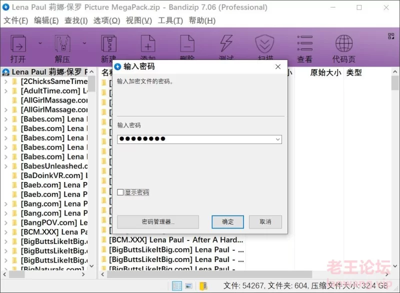 漏点 Lena Paul 莉娜·保罗 写真系列【未知数+33GB】