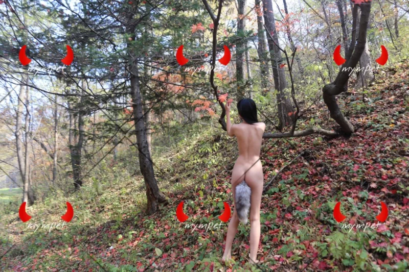 美女御姐 推特[mympet]明星颜值被金主爸爸调教啪啪133部合集视频【133v+3.8g】