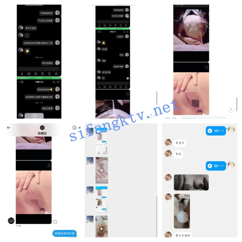 女大学生 大神收徒传授勾搭调教 上百位大学生母狗教材【17V+1000p+984M】