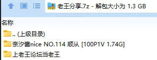 福利姬 奈汐酱nice NO.114 顺从【100P1V+1.29GB】