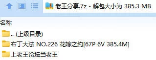 福利姬 布丁大法 NO.226 花嫁之约【67P6V+385.4M】