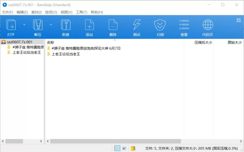 91大神 ✨大神[狮子座]6.7NEW❤️淫荡反差少妇 拽头发，操翘臀✨【1v+202M】