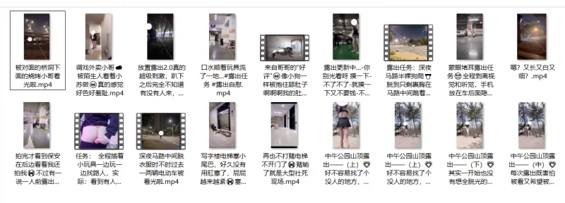 自拍 主人露出放置任务『你的苏幸』6月新档深夜马路半裸狗爬【70P20V+474M】