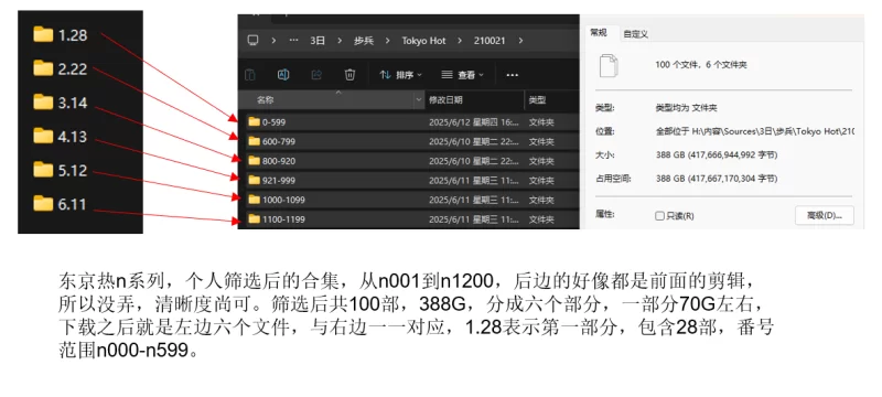 合集 东京热精选合集【v100+388G】