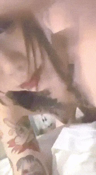 美女御姐 露脸才是王道，天使面孔魔鬼身材，蜂腰翘臀巨乳反差尤【2+1541MB】