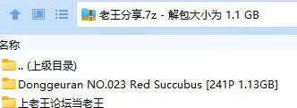 福利姬 Donggeuran董顾冉 NO.023 Red Succubus【241P+1.13GB】
