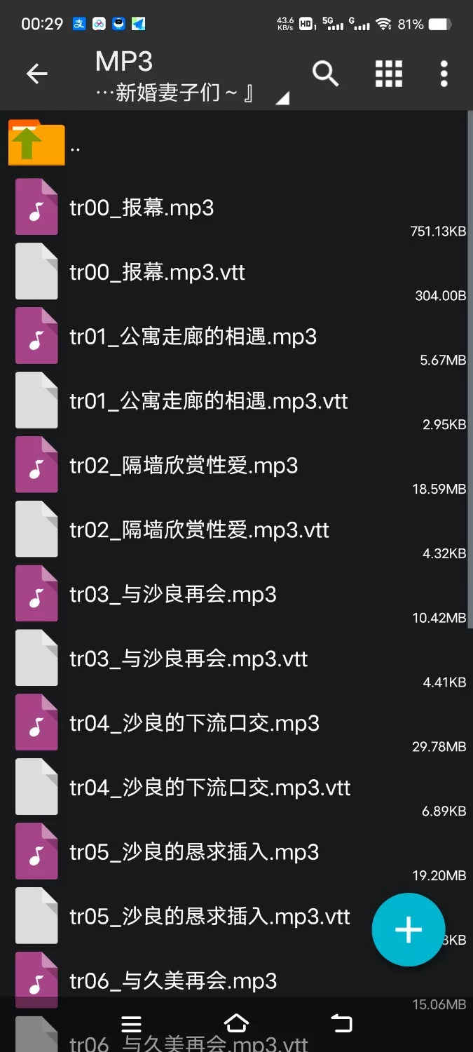 ASMR [简体中文版]两侧邻居是新婚夫妇～伴随着低沉呻吟声被睡走的新婚妻子们【11V+250M】