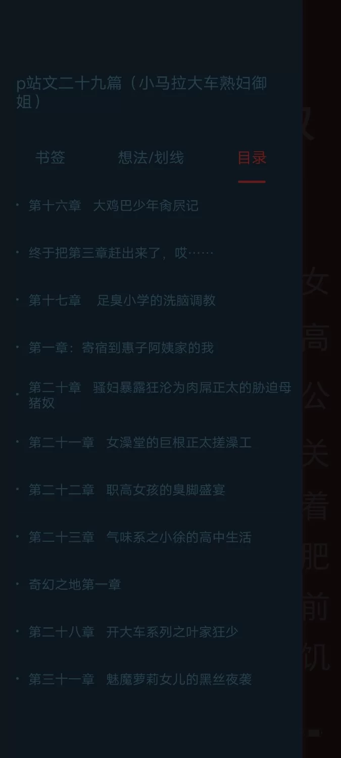 合集 p站文二十九篇（小马拉大车熟妇御姐）【+3M】