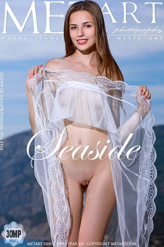 大合集 METART2019套图合集【np+385G】