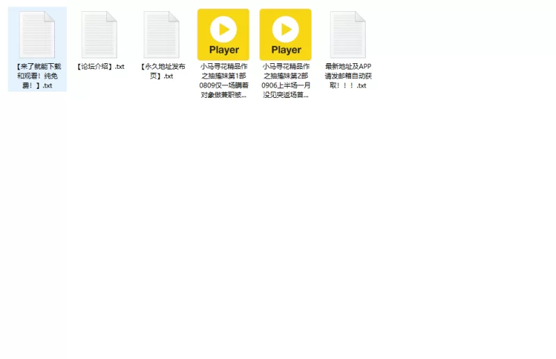 自拍 小马寻花之抽搐妹合集（2部）听译字幕4K增强版 上【2V+10.6G】