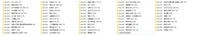 国产coser 小央泽58套【npnv+18G】