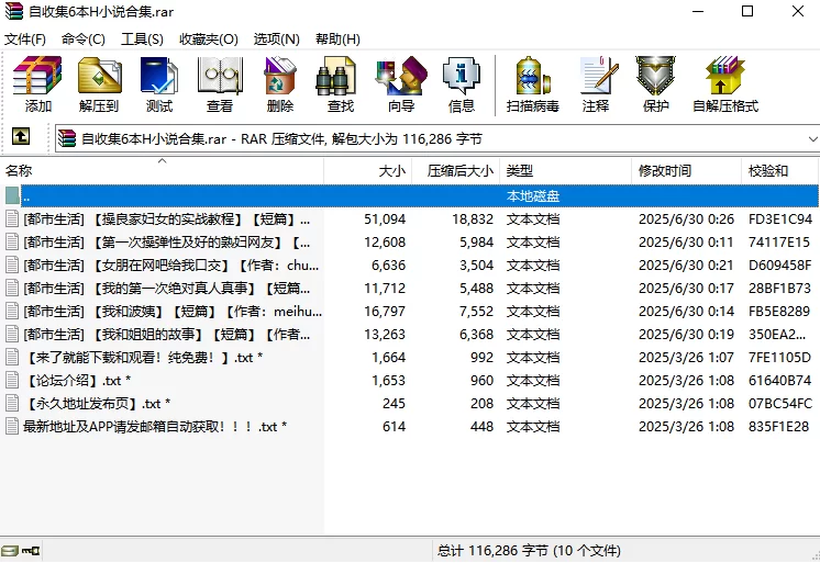 都市校园 自收集6本H小说合集【+124K】