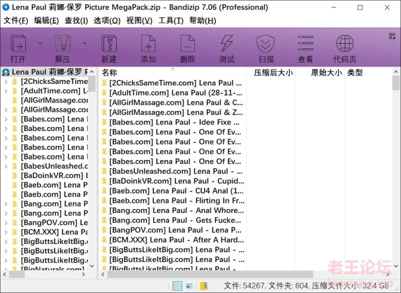 漏点 Lena Paul 莉娜·保罗 写真系列【未知数+33GB】