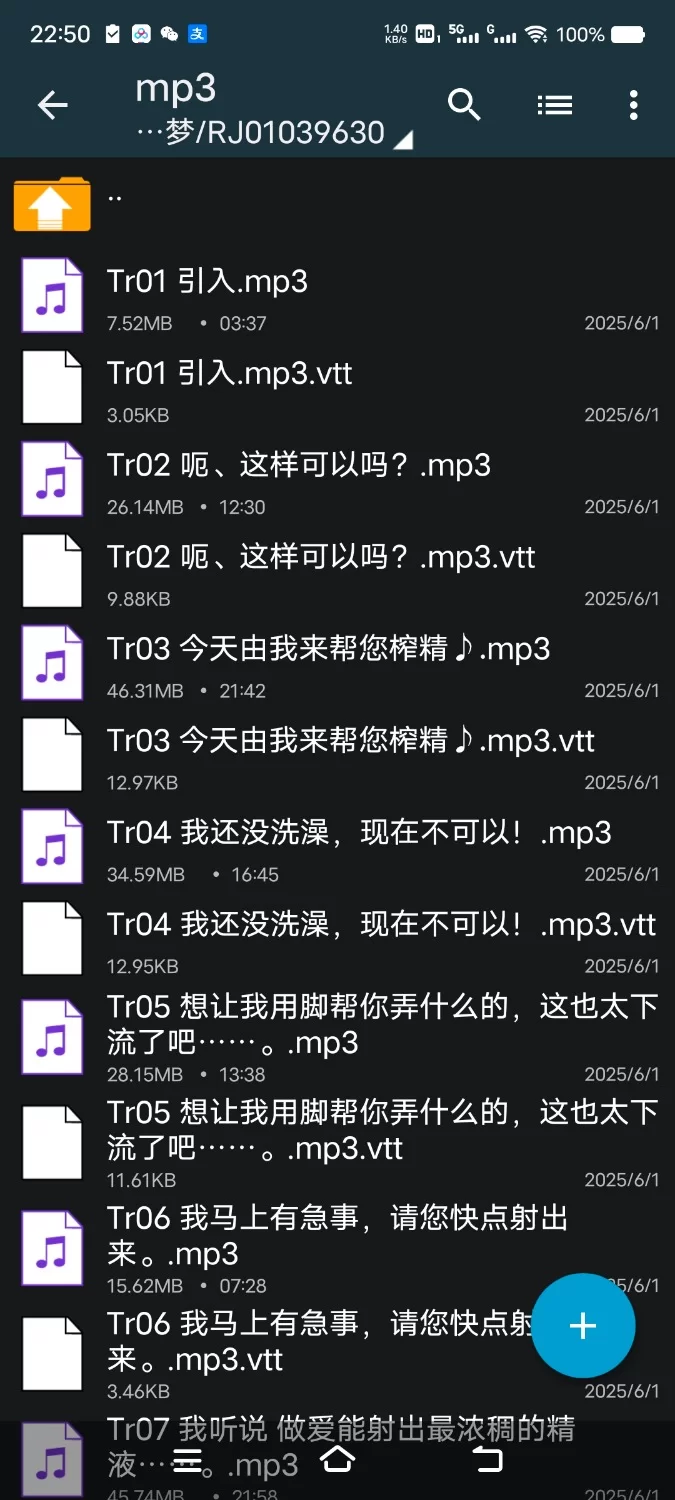 ASMR [简中]为丰满的新人炼金术师不停提供下流精液后娶她为妻这件事～天然淫乱耳语榨精【11V+660M】