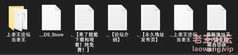 漏点 Little Caprice 玛琪塔·斯特罗布洛娃 Picture  Collection 写真系列【未知数+100GB】