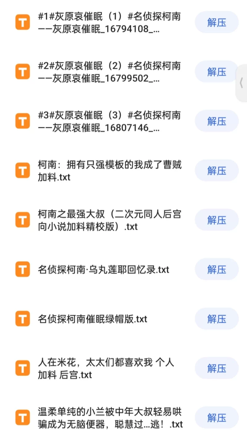 合集 9本有小哀，世良真纯，赤井玛丽的柯南同人【+9.8MB】