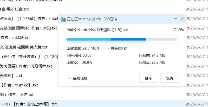 绿帽绿奴 ntr小说合集【+35.03mb】