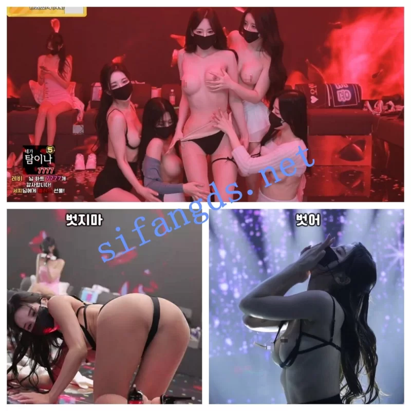 直播 [韩国BJ]熊猫班 裸舞精华合集 双女 多视角热舞【27v+6.9g】