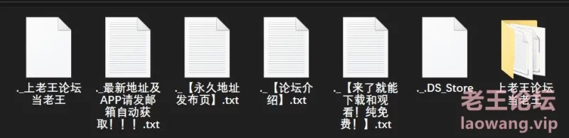 漏点 Rebecca Volpetti 瑞贝卡 沃普缇 Picture MegaPack（手动收集版）【未知数+15GB】
