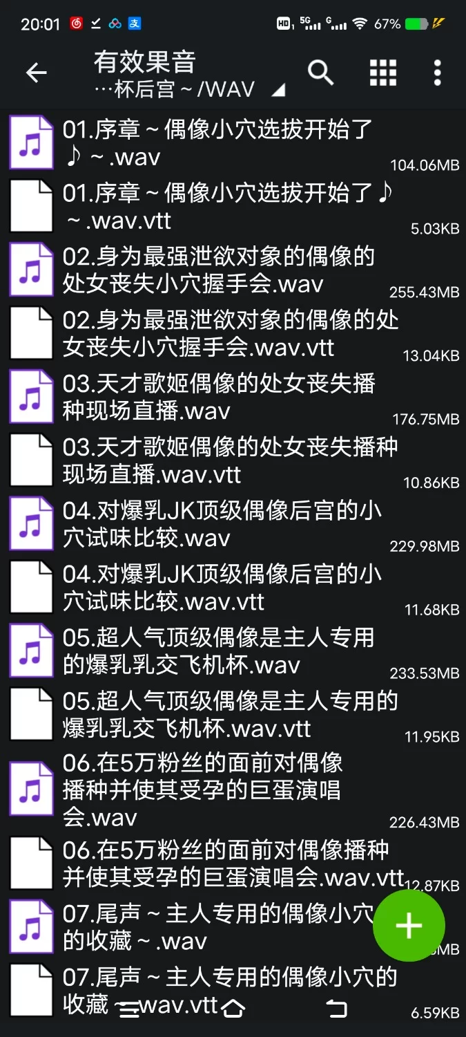 ASMR [简体中文版][紧贴淫语轻语]催〇小穴收藏～绝对服从偶像飞机杯后宫～【8V+1.2G】