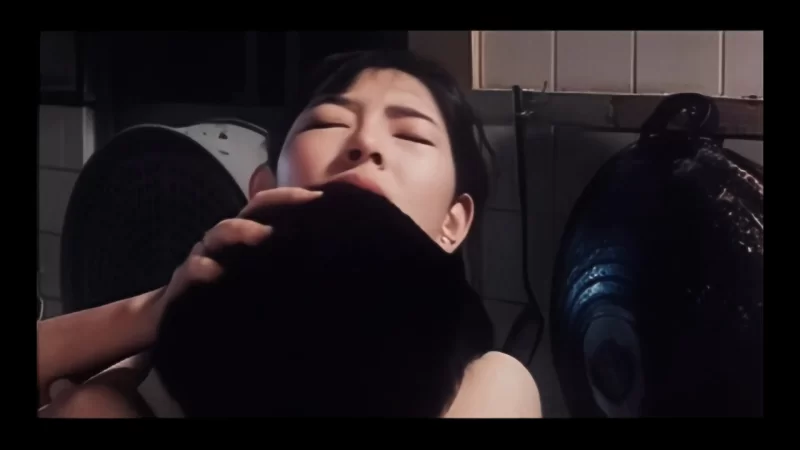 港台 那根所有权未删减版，女主很漂亮【1v+2.56G】