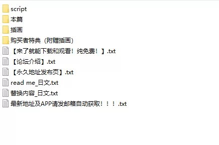 ASMR [简体中文版]为快乐探究者准备的前列腺按摩射精调教【10V+2.26G】